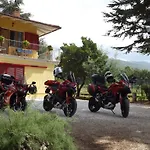 Il Pizzagiallo