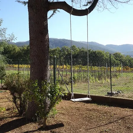 Il Pizzagiallo Bed and breakfast