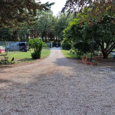 Il Pizzagiallo 3* Massa Martana