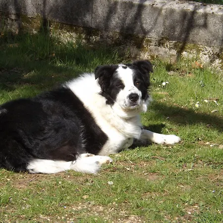 Bed and breakfast Il Pizzagiallo Massa Martana