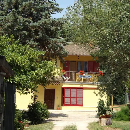 Il Pizzagiallo