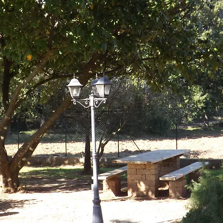 Il Pizzagiallo Massa Martana