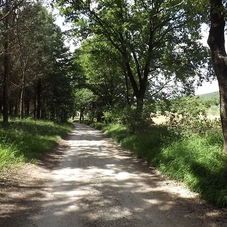 Il Pizzagiallo Bed and breakfast