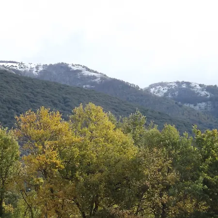 Il Pizzagiallo Massa Martana