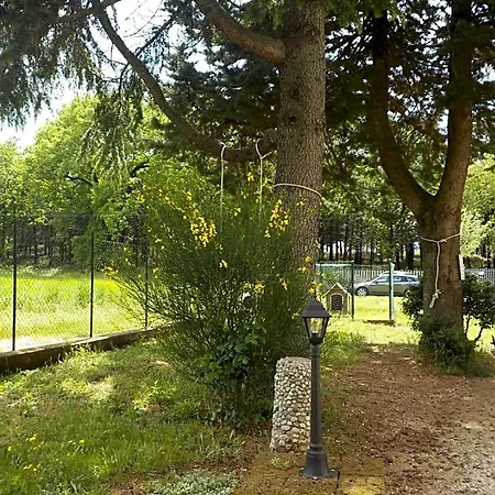Bed & Breakfast Il Pizzagiallo