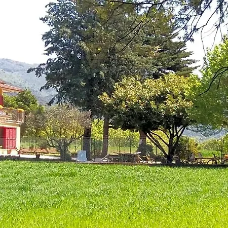 Alojamento de Acomodação e Pequeno-almoço Il Pizzagiallo 3*