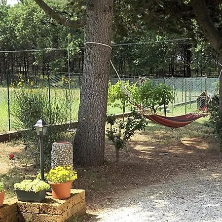 Il Pizzagiallo Bed & Breakfast 3*
