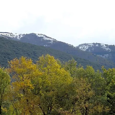 Bed & Breakfast Il Pizzagiallo 3*