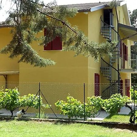 Il Pizzagiallo Bed & Breakfast Massa Martana