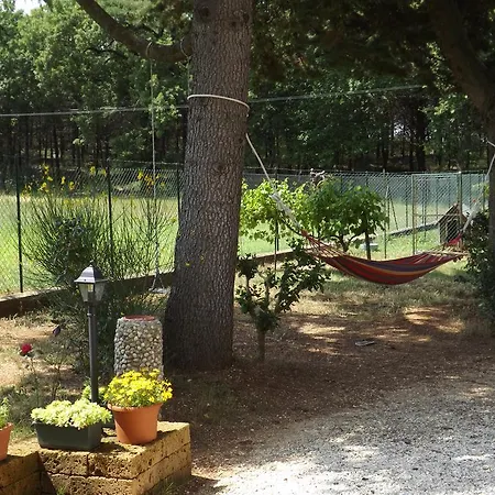 Bed and breakfast Il Pizzagiallo 3*