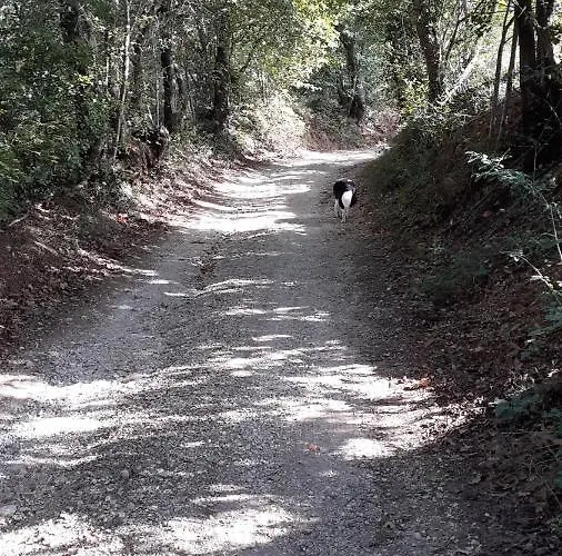 فندق مبيت وإفطار Il Pizzagiallo 3*