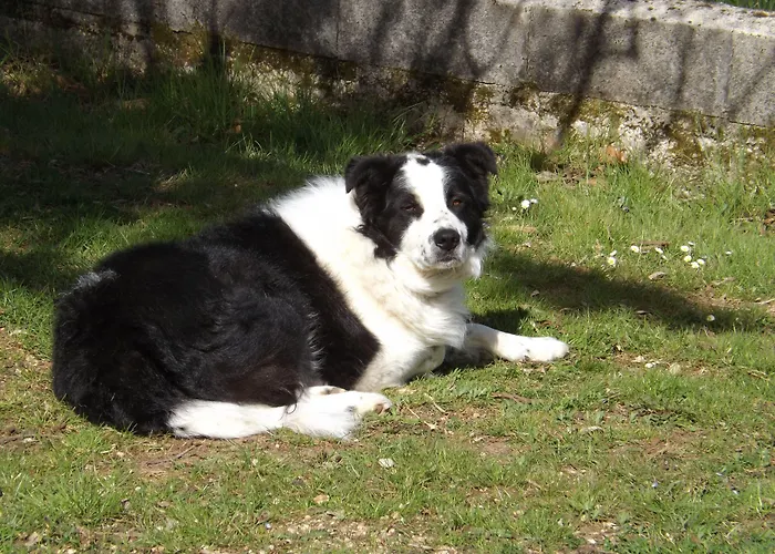 فندق مبيت وإفطار Il Pizzagiallo ماسا مارتانا