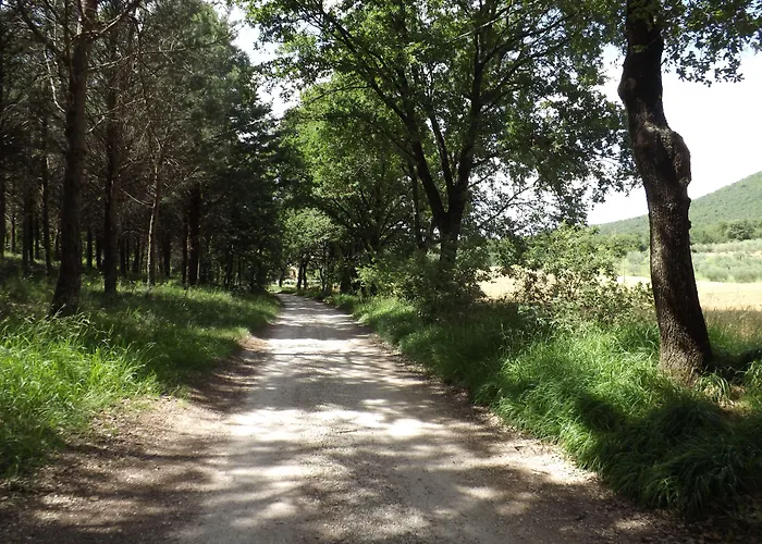 Il Pizzagiallo فندق مبيت وإفطار