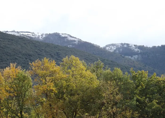 Il Pizzagiallo ماسا مارتانا