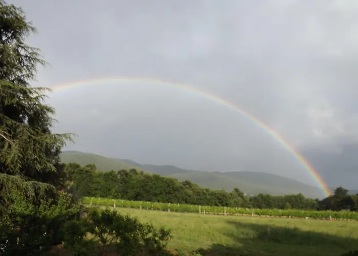 Il Pizzagiallo فندق مبيت وإفطار 3*