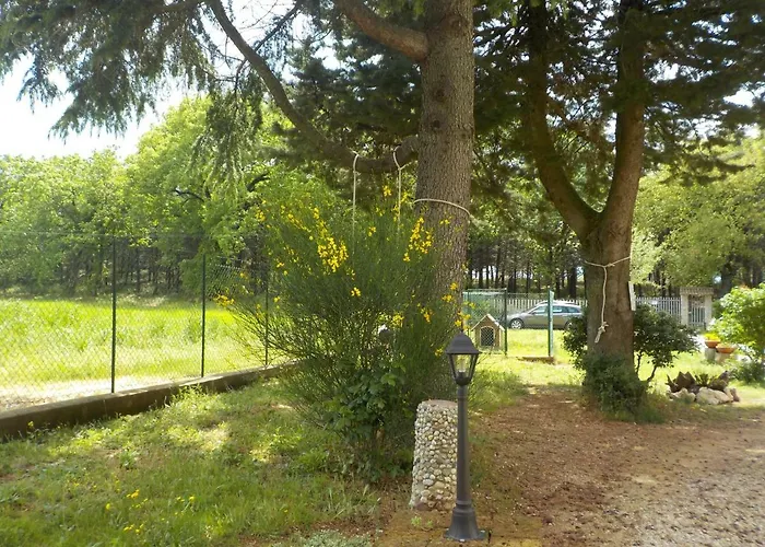 فندق مبيت وإفطار Il Pizzagiallo 3*